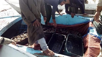 محافظ كفر الشيخ يتابع حملة إزالة التعديات على بحيرة البرلس  