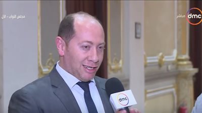 اللجنة الإفريقية بمجلس النواب: وجود برلمان وادي النيل يضمن تعزيز العلاقات بين مصر والسودان وأثيوبيا