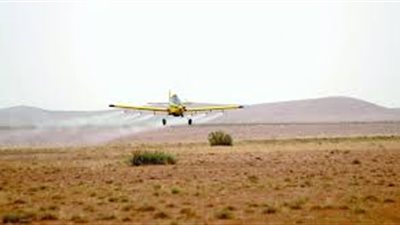 ما لا تعرفه عن طرق مكافحة الجراد