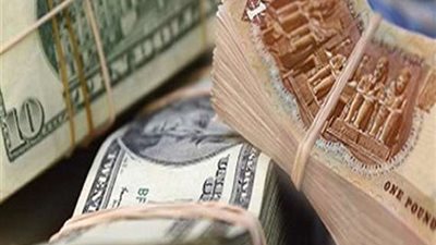 شعبة المستوردين: انخفاض الدولار اليوم بداية لإستعادة السعر العادل للجنيه