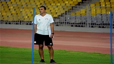 أسامة نبيه: 