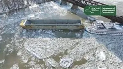 ولايات أمريكية تتحول إلى 