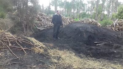 إزالة ٥٢ مكمورة فحم على فدان ونصف بدمياط (صور)