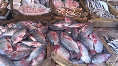 استقرار أسعار الأسماك اليوم الأربعاء 30/1/2019 