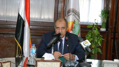 الحكومة: إنشاء مزرعة مشتركة ثانية بين مصر وزامبيا