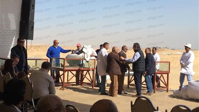 شاهد الصور الأولى من القطع الأثرية المكتشفة في المنيا 