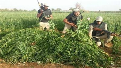 أمن الوادي الجديد يضبط مزرعة 