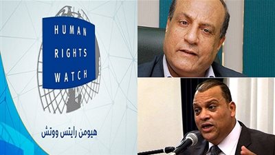 بعد نشرها الأكاذيب عن مصر.. حقوقي: 