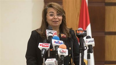 والي: 4 مليون جنيه مبيعات 