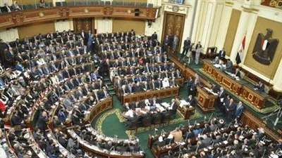 برلماني: تعديل الدستور يؤكد أننا نعيش في دولة ديموقراطية