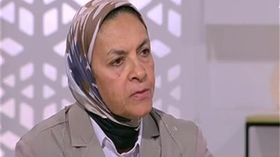 أستاذ اقتصاد تطالب بزيادة الصناعات وتصديرها للخارج