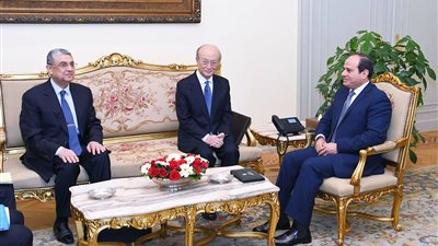  ماهر عزيز: هذا هو سبب اهتمام الوكالة الدولية للطاقة الذرية بمصر