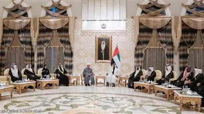 شيخ الأزهر يشيد بجهود الإمارات لدعم الأفكار الخيّرة