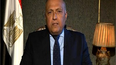 الخارجية: استضافة مصر لأول قمة عربية أوروبية تأكيد على دورها المحوري