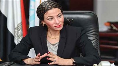 وزيرة البيئة من البرلمان: لا مفر من تعديل قانون البيئة 