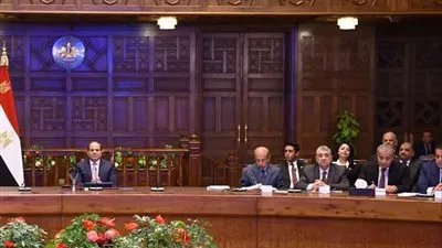 الرئيس السيسي يلتقى وفدًا من شباب بورسعيد (صور)