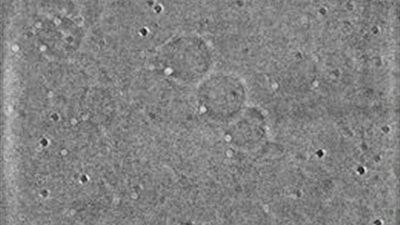 مركز الفلك الدولي يصور أصغر هلال بالعالم الإسلامي