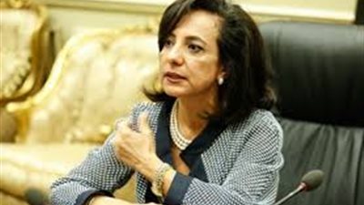 نائبة: الدستور مثل خارطة الطريق قابلة للمراجعة