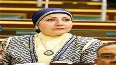 .رئيس الكتلة البرلمانية للمحافظين: ليس من الضروري التوافق مع الحزب حول التعديلات الدستورية 