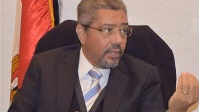 ابراهيم العربي: زيارة الوفد الياباني فرصة عظيمة لزيادة الاستثمارات اليابانية في مصر