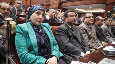 النائبة هالة أبو السعد تعلن تأييدها للتعديلات الدستورية