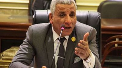 أمين سر لجنة القوى العاملة بالبرلمان عن تعديل الدستور: 