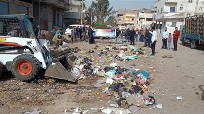 حملة نظافة لحزب مستقبل وطن فى كفر الشيخ (صور) 