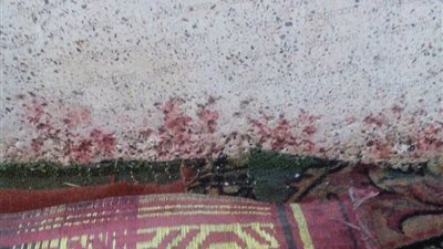 مثلوا بالجثة.. الصور الأولى لواقعة إطلاق النار على مصلين بمسجد أسيوط أخذا بالثأر