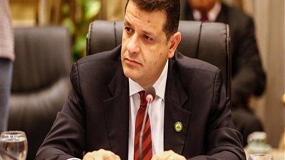 برلماني: الهجرة غير الشرعية تتصدر أولويات قمة الاتحاد الأفريقي