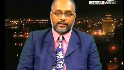 محلل سياسي: مصر عادت بقوة للقارة الأفريقية