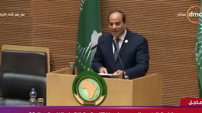 عاجل.. السيسي: الإرهاب 