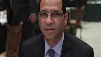 برلماني: رئاسة مصر للاتحاد الأفريقي أهم حدث اقتصادي وسياسي في 2019