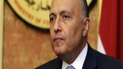 وزير الخارجية: مصر قدمت جهدًا ماليًا ومعنويًا للعمل على تحرير إفريقيا
