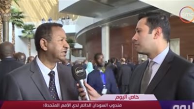 مندوب السودان بالأمم المتحدة: كل الدول تتوقع من مصر إضافة حقيقية خلال ترأسها للاتحاد الإفريقي