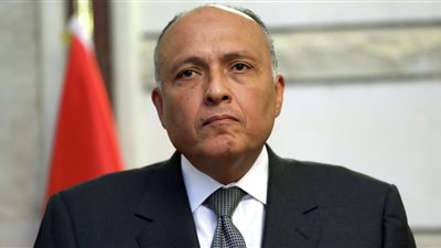 وزير الخارجية: نستهدف خلق تفاعل بين الأفارقة خلال رئاسة مصر للاتحاد