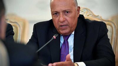 وزير الخارجية: استراتيجية 2063 تخلق من الدول الأفريقية سوقًا كبيرة