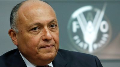 شكري: الكثير من الدول الاستعمارية حققت نهضتها بالاعتماد على موارد إفريقيا الطبيعية