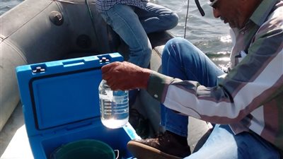 البيئة تنفذ خطة لرصد مياه نهر النيل بمحافظة أسوان بداية من بحيرة ناصر