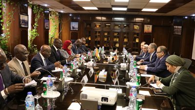   لقاء مصرى كوتيفوارى لبحث التعاون فى مجالات الكهرباء 