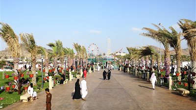 أمانة الطائف تدعو المنظمين للمشاركة في مهرجان الورد الطائفي الـ15