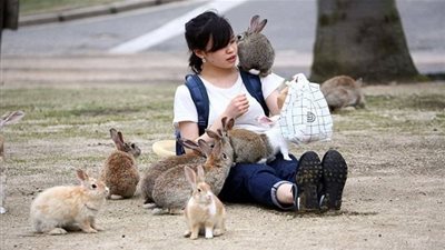 معلومات لا تعرفها عن كوكب اليابان.. أبرزها 