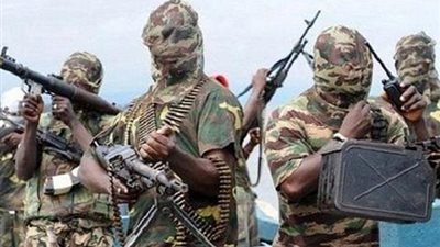 الكاميرون: استسلام 187 إرهابيا سابقا في بوكو حرام للسلطات