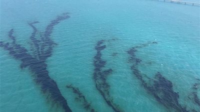 إجراءات احترازية في المنيا لمواجهة بقعة زيت بمياه النيل