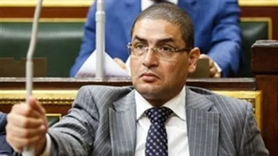 برلماني: تعديل الدستور لن يكون ساريا إلا بموافقة الشعب المصري