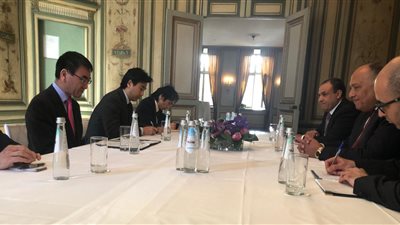 وزير الخارجية يبحث مع نظيره الياباني تعزيز الأولويات التنموية لإفريقيا