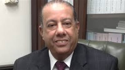 رئيس مصلحة الضرائب: قانون الفاتورة الإلكترونية ليس منفردَا