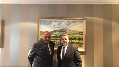 سامح شكري يلتقي وزير الدولة الأيرلندي للتجارة