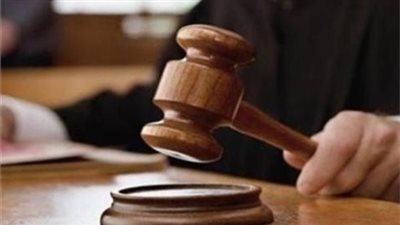 جنايات المنيا تقضي بإعدام طالب والمؤبد لابن عمه