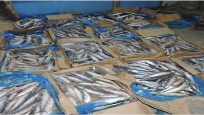 داخل ثلاجة بالعبور.. ضبط 50 طن أسماك وكبد غير صالحة للاستهلاك الآدمي