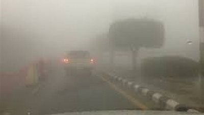عسير.. أمطار شديدة وضباب كثيف يحجب الرؤية في 